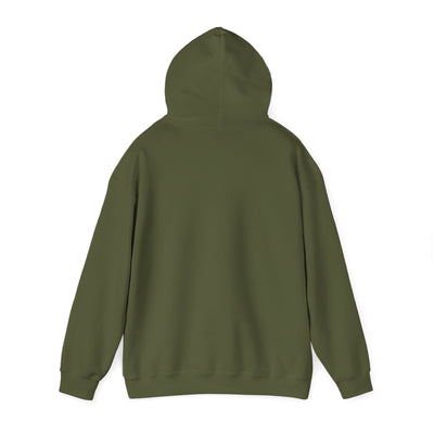 CODING ENTHUSIAST Unisex Heavy Blend™ Hooded Sweatshirt